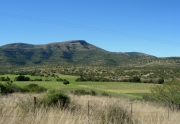 Blue Crane Tourism Office